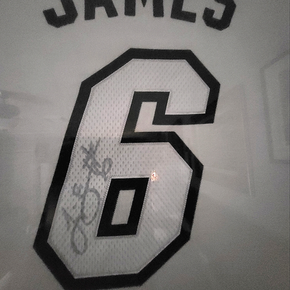 Le Bron James Miami heat tee shirt